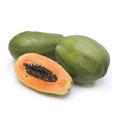 Ripe Papaya Extracts