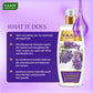Intensive Repair Lavender Shampoo with Rosemary Extract (3 x 350 ml/ 12 fl oz)