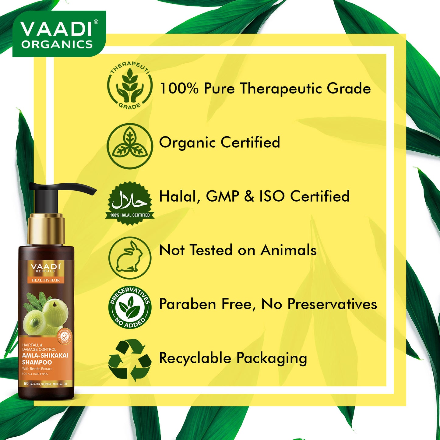 شامبو عضوي للسيطرة علي تساقط الشعر و التلف (مستخلص من التوت الهندي) (3 × 110 مل / 4 لتر أوز)