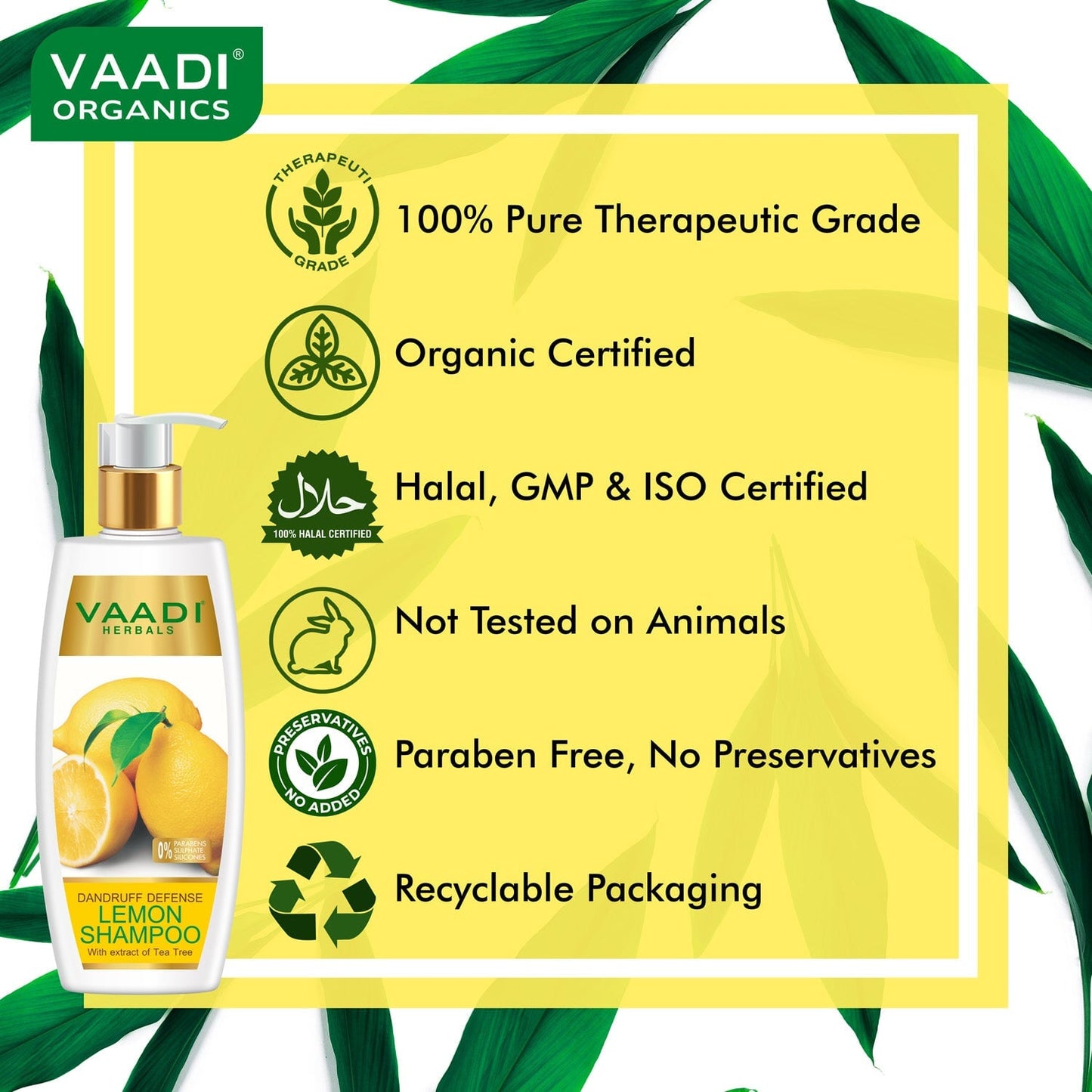 Dandruff Defense Organic Lemon Shampoo with Tea Tree Extract (3 x 350 ml/ 12 fl oz)