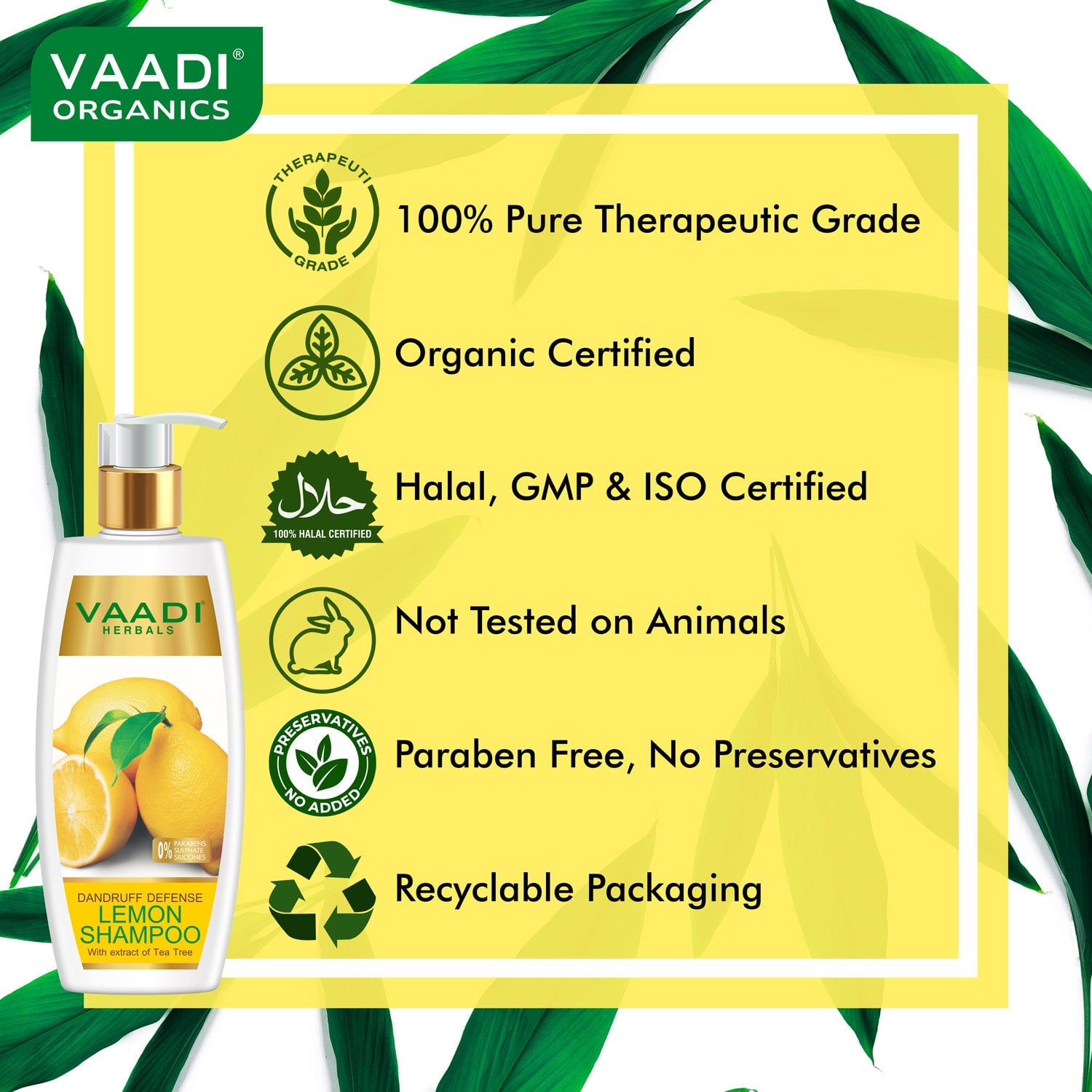 Dandruff Defense Organic Lemon Shampoo with Tea Tree Extract (3 x 350 ml/ 12 fl oz)