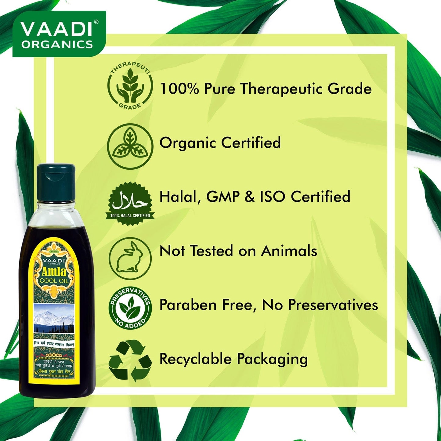 Amla Cool Oil with Brahmi - Strengthens and Nourishes Hair - Relieves Stress - Promotes Sound Sleep (2 x 200ml/7 fl oz)