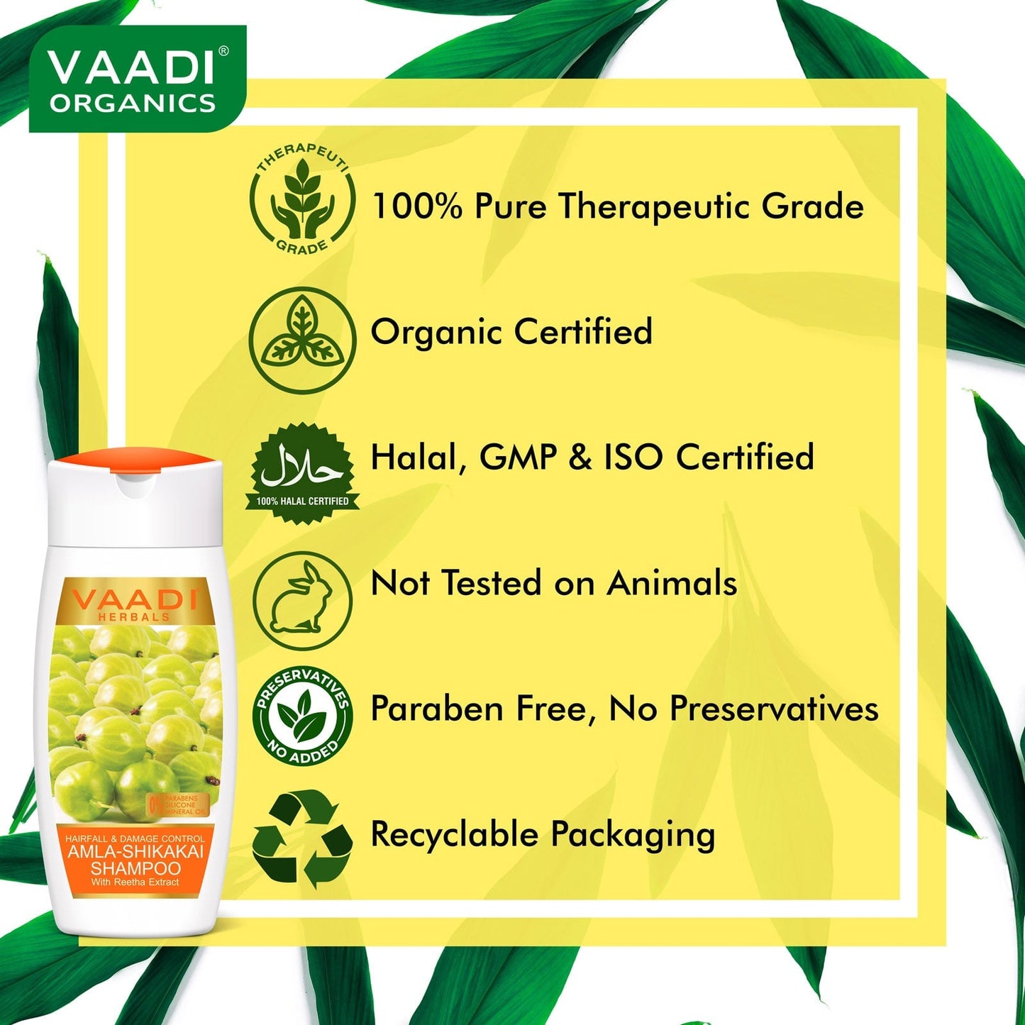 Hairfall & Damage Control Organic Gooseberry Shampoo - Rich Olive Conditioner (2 x 110 ml/ 4 fl oz)