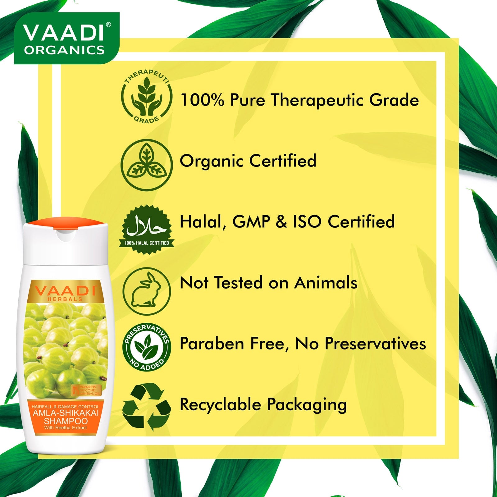 Hairfall & Damage Control Organic Gooseberry Shampoo - Rich Olive Conditioner (2 x 110 ml/ 4 fl oz)