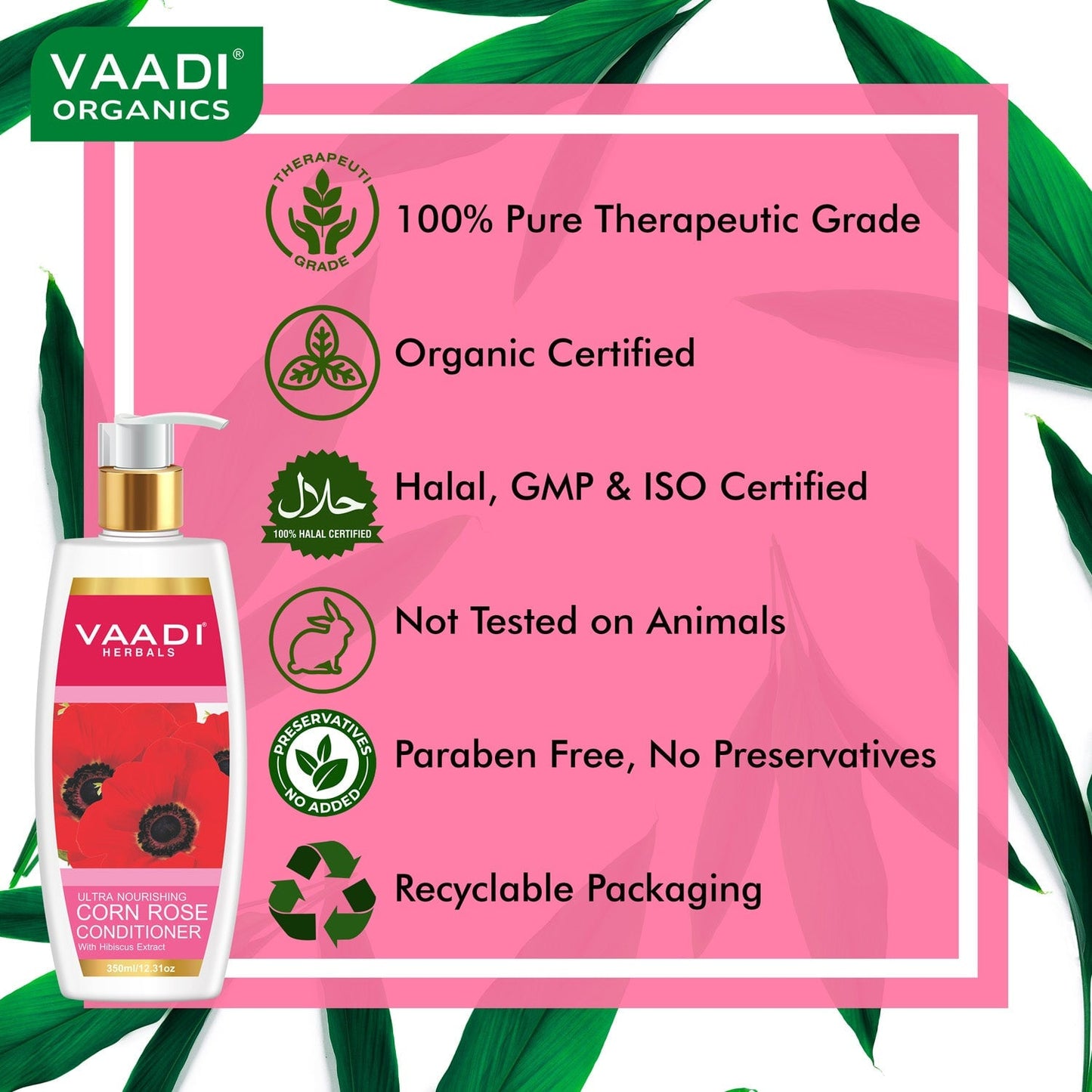 Dandruff Defense Organic Lemon Shampoo - Rich Corn Rose Conditioner (2 x 350 ml/12 fl oz)