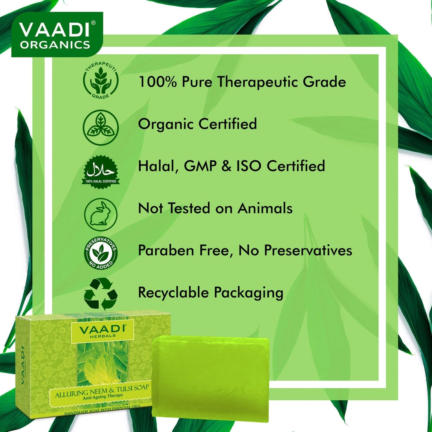 Organic Neem Soap with Pure Neem Leaves (Anti Bacterial) - Detoxifies Skin (12 x 75 gms / 2.7 oz)