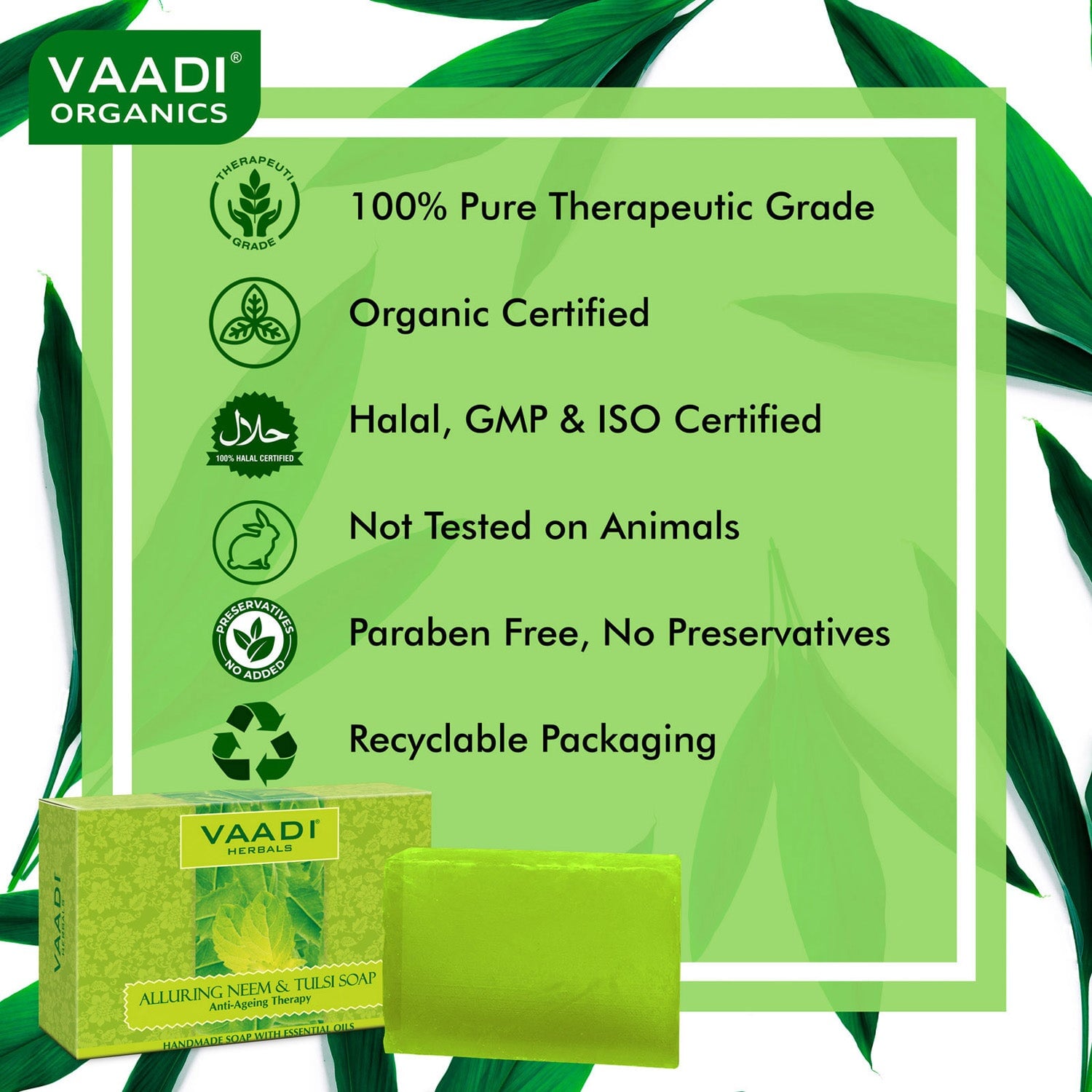 Organic Neem Soap with Pure Neem Leaves (Anti Bacterial) - Detoxifies Skin (12 x 75 gms / 2.7 oz)