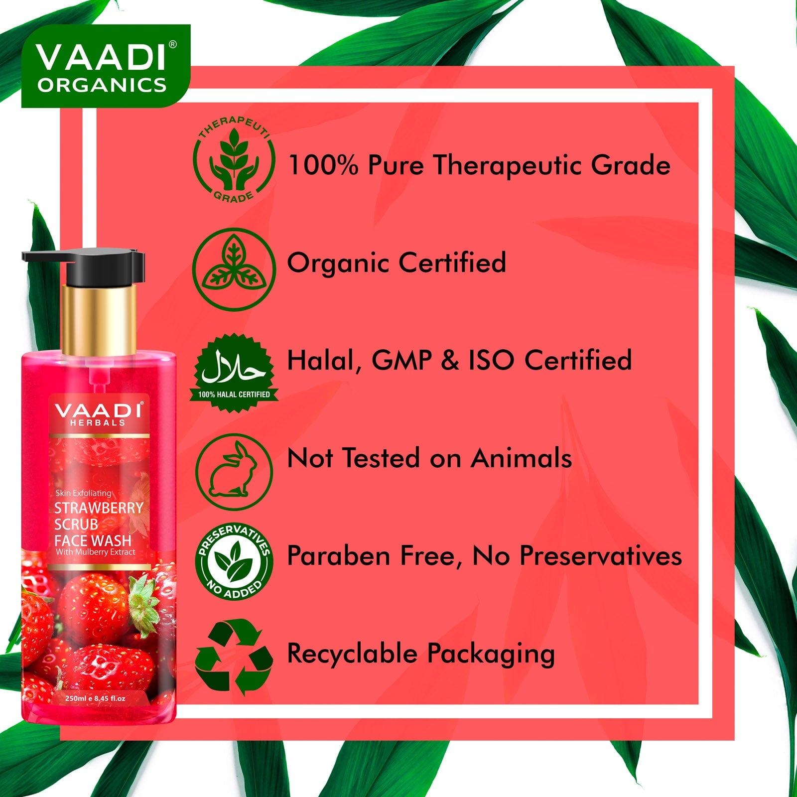 Skin Exfoliating Organic Strawberry Scrub Face Wash with Mulberry Extract (250ml/ 8.45 fl oz)