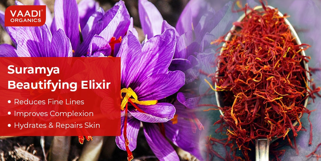 Suramya Beautifying Elixr (Pure Mix of Saffron, 24k Gold Leaves & Sweet Almond Oil) - Reduces Fine Lines, Improves Skin Complexion & Gives a Natural Glow (10 ml/ 0.33 oz)