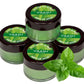 Ultra Moisturising Organic Mint Lip Balm (4 x 10 gms / 0.4 oz)